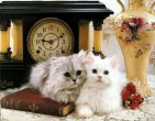 animals wallpaper 096