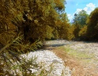 Autumn wallpaper 008