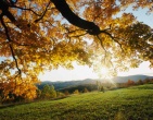 autumn wallpaper 009