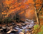 Autumn wallpaper 011