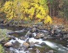 Autumn wallpaper 012