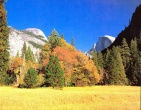Autumn wallpaper 015