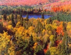autumn wallpaper 016