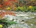 Autumn wallpaper 017
