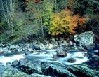 Autumn wallpaper 019