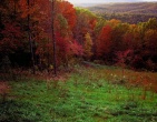 Autumn wallpaper 022