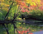 Autumn wallpaper 025