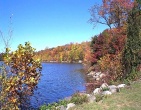 autumn wallpaper 028
