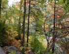Autumn wallpaper 029