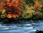 Autumn wallpaper 031