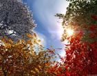 Autumn wallpaper 033