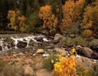 Autumn wallpaper 038
