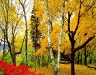 Autumn wallpaper 039
