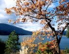 Autumn wallpaper 042