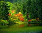 Autumn wallpaper 045