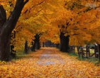 Autumn wallpaper 046