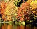 Autumn wallpaper 047