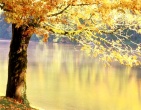 Autumn wallpaper 050