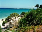Tropical beach wallpaper 007