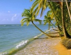 Tropical beach wallpaper 013