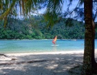 Tropical beach wallpaper 025