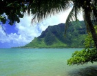 Tropical beach wallpaper 035