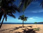 tropical beach wallpaper 037