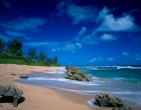 Tropical beach wallpaper 040