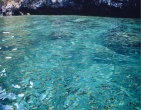 Tropical beach wallpaper 041