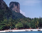 Tropical beach wallpaper 043