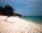 Tropical beach wallpaper 044