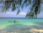 Tropical beach wallpaper 047