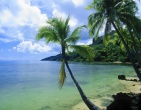 Tropical beach wallpaper 048