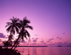 Tropical beach wallpaper 051