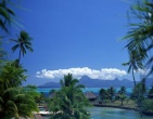 tropical beach wallpaper 053