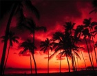 Tropical beach wallpaper 054