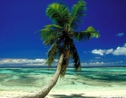 Tropical beach wallpaper 055