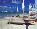 Tropical beach wallpaper 059