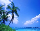 Tropical beach wallpaper 061