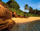 tropical beach wallpaper 070