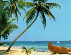 Tropical beach wallpaper 071