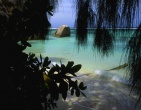 Tropical beach wallpaper 072