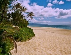 Tropical beach wallpaper 076