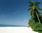 Tropical beach wallpaper 077