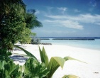 Tropical beach wallpaper 081
