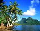 Tropical beach wallpaper 087