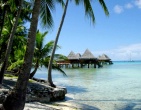 Tropical beach wallpaper 096
