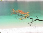 Tropical beach wallpaper 099