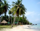 Tropical beach wallpaper 101