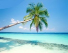 Tropical beach wallpaper 125